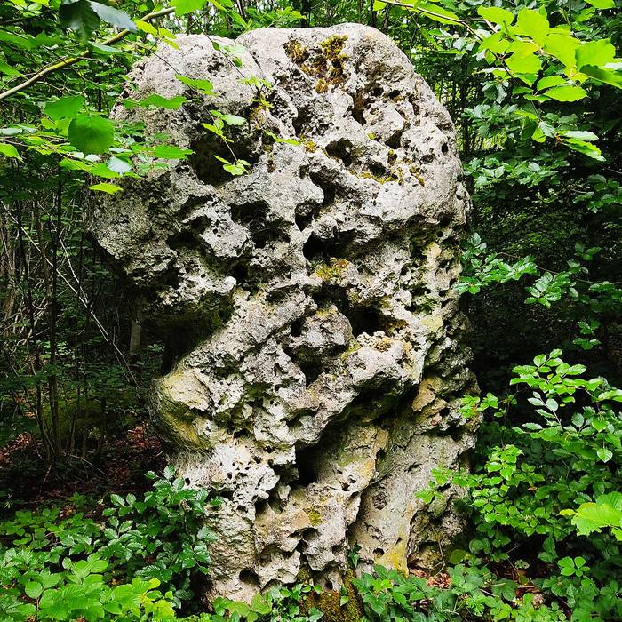 Photo de Menhir de la Grande Borne à Coulmier-le-Sec